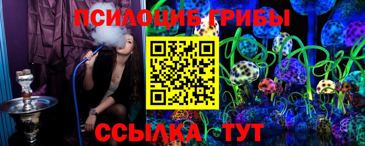 Псилоцибиновые грибы MAGIC MUSHROOMS Борзя
