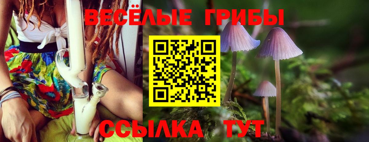 Псилоцибиновые грибы MAGIC MUSHROOMS  Вход с VPN  Борзя 